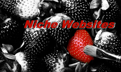 What are Niche Websites and 10 Examples