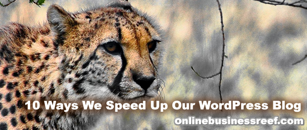 Speed up WordPress Blog